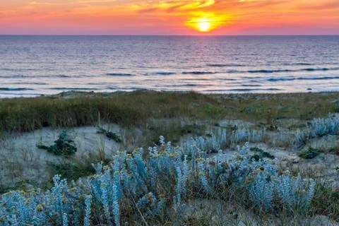 Sunset on the dune Stock Photos