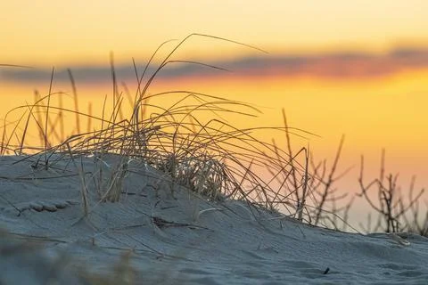 Sunset Dune Stock Photos