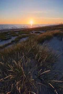 Sunset at the Dunes in Denmark Stock Photos