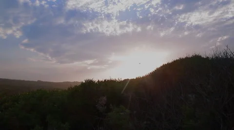 Sunset on the dunes Stock Footage 48164005