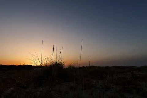 Sunset in the dunes Stock Photos