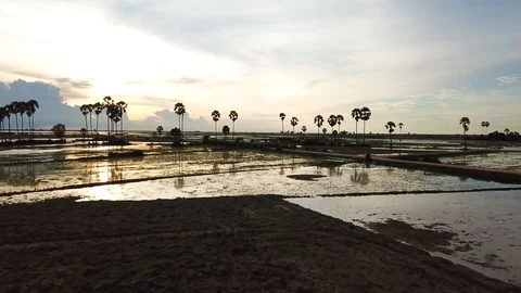 Sunset during monsoon in Cambodia 스톡 동영상 88162288
