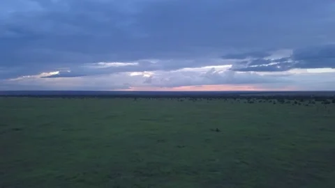 Sunset dusk drone aerial clouds lions wildlife Ol Pejeta Kenya Africa 動画素材 232828099