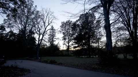 Sunset dusk in front yard Stock Footage 91132286