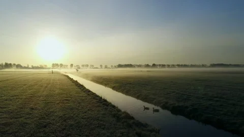 Sunset in Dutch field Stock Footage 289907854