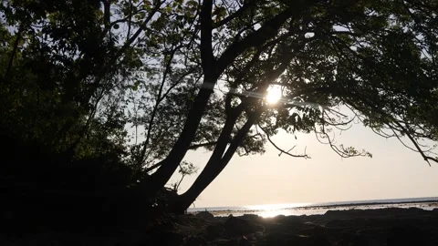 Sunset Dutungan (1) Stock Footage 296729816