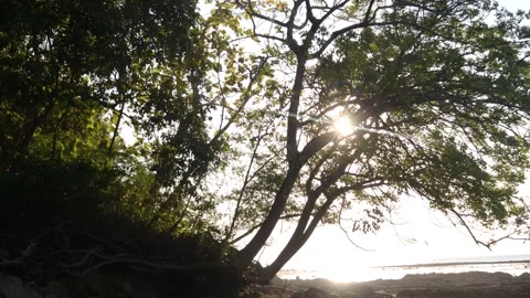 Sunset Dutungan (2) Video stock 296729887