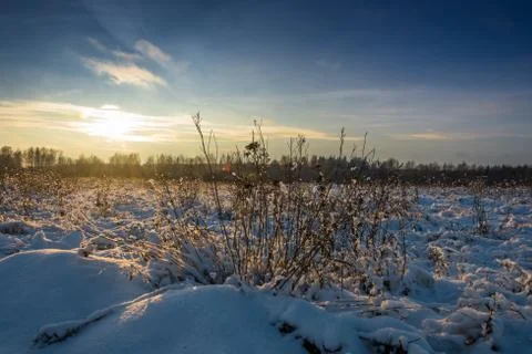 Sunset in early winter. Stock Photos