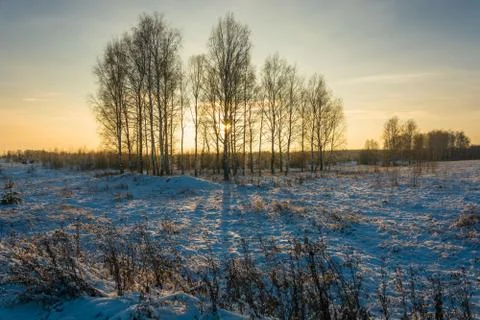 Sunset in early winter. Stock Photos