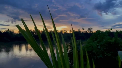 Sunset on earth asia Vídeo Stock 224895611