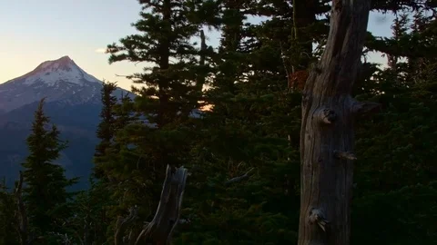 Sunset east side mountain with snow and forest Mt. Hood Oregon Cascades 248 Stock Footage 82031095