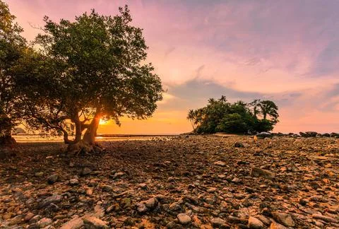 Sunset ebb beach Stock Photos