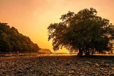 Sunset ebb Stock Photos