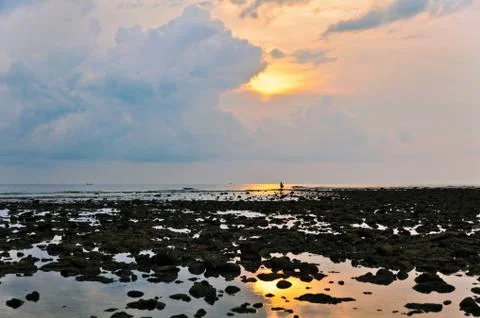 Sunset ebb Stock Photos