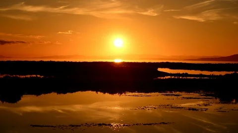 Sunset in the ebro delta next to the coast Video stock 99595663