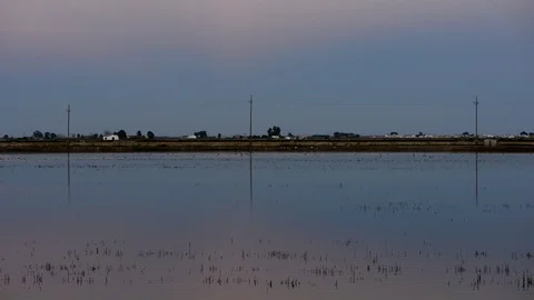 Sunset in the ebro delta next to the coast Stock Footage 99596948