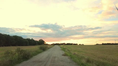 Sunset at the edge of the field Stock Footage 261559967