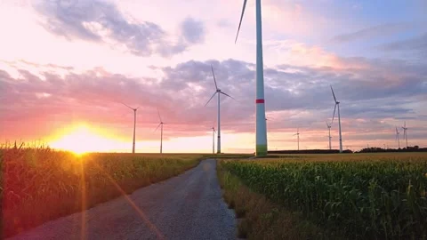 Sunset at the edge of the field Stock Footage 261560852