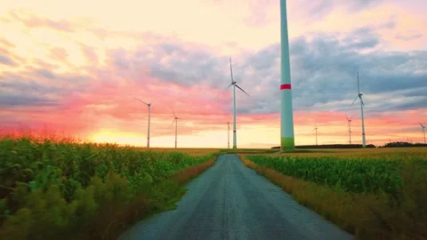 Sunset at the edge of the field Stock Footage 261561754