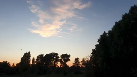 Sunset at the edge of a forest 스톡 동영상 140325039