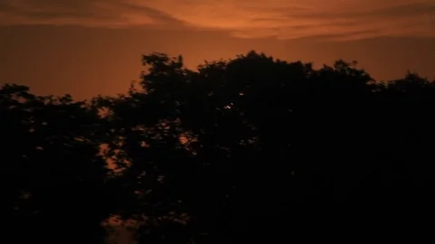 Sunset in edge River at Pantanal Video stock 70161012