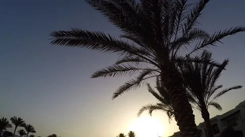 Sunset in Egypt Stock Footage 67607271