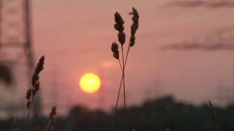Sunset with electrical power supply Stock Footage 29204707