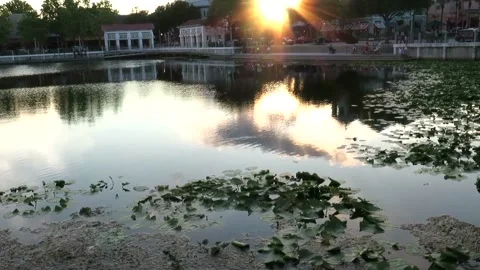 Sunset end of the day at Celebration Florida Stock Footage 174721832