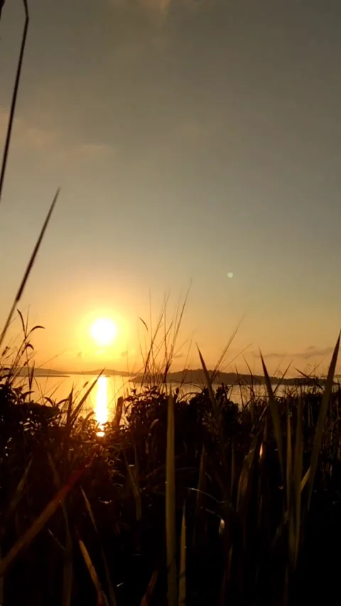Sunset at the end of dusk Stock Footage 243471689