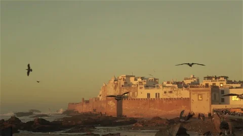 Sunset on Essaouira 库存影片 100566360