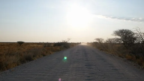 Sunset in Etosha national Park, Camera car, Namibia, Africa in HD Stock Footage 90862356