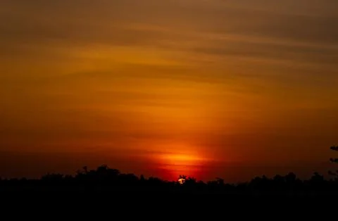 Sunset in the evening after the big tree. The orange light yellow contrast tr Stock Photos