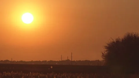 Sunset in the evening in August Stock Footage 120033031