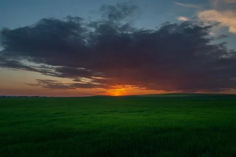 Sunset with evening cloud over green rural field, Staw, Poland Stock Photos