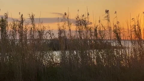Sunset Evening On Lake Stock Footage 231536259