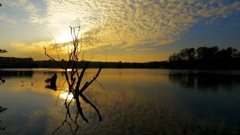 Sunset evening lake Video stock 273210699