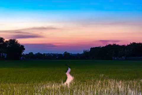 Sunset the evening light through the clouds and trees at the rice paddies. Stock Photos