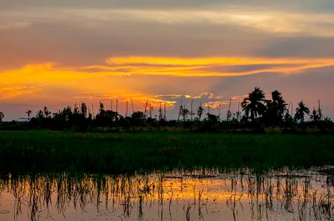 Sunset the evening light through the clouds and  trees. Stock Photos