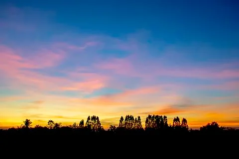 Sunset the evening light through the clouds and  trees. Stock Photos