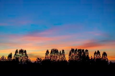 Sunset the evening light through the clouds and  trees. Stock Photos