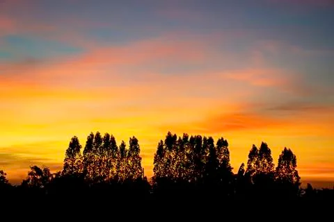 Sunset the evening light through the clouds and  trees. Stock Photos