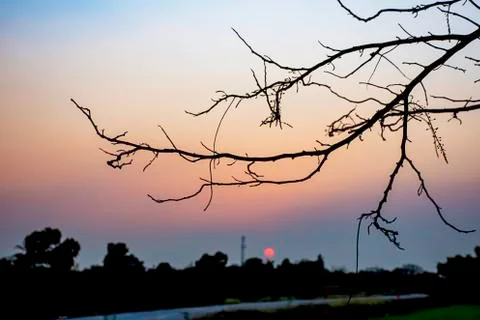 Sunset the evening light through the clouds and  trees. Stock Photos