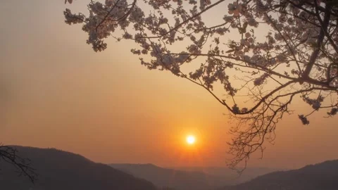 Sunset evening mountain Video stock 273698357