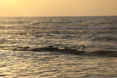 Sunset in the evening over the sea High quality Foto stock