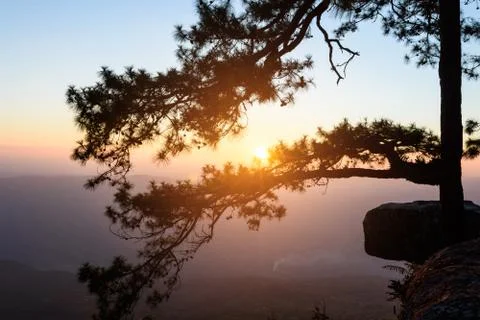 Sunset in the evening Stock Photos