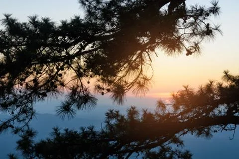 Sunset in the evening Foto stock