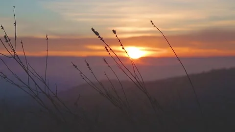 Sunset in the evening sky Stock Footage 151427176
