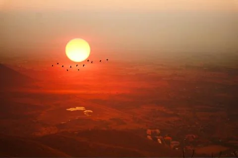 Sunset on evening sky over mountain and silhouette bird flying over country イラスト素材
