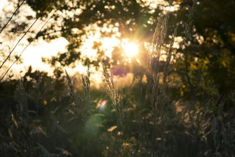 Sunset in the fall Stock Photos