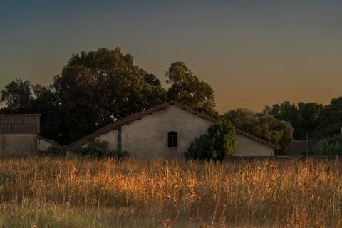 Sunset from a farm in algiers Stock Photos